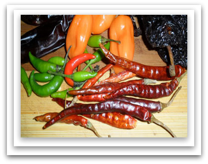 1-clasificacion-de-los-chiles-ajies-y-pimientos-01