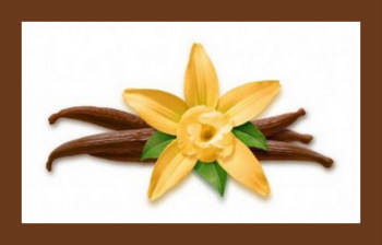 1-EO-vainilla-300x175