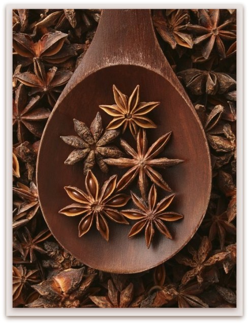 1-il piccolo istrione