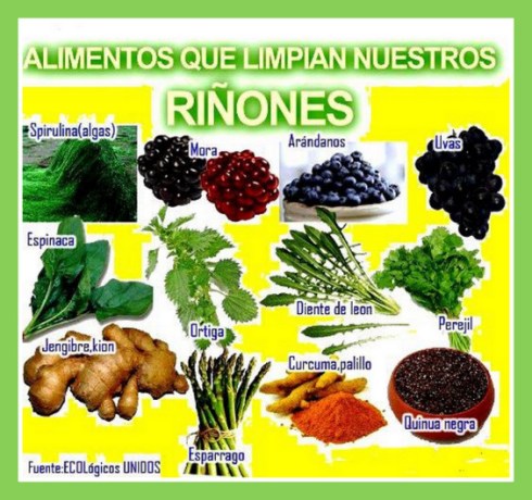 1-603729_282430265200422_1583404878_n