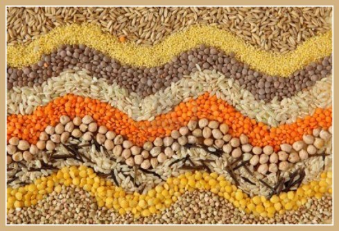 1-6707973-diversas-semillas-y-granos-close-up