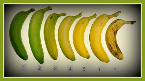 148159_296287160481399_1582094823_n