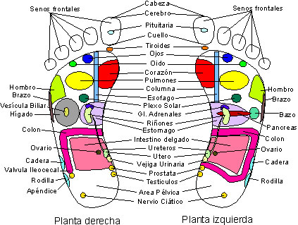 reflexologia Pies