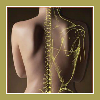 10548_435881829817404_894684932_n