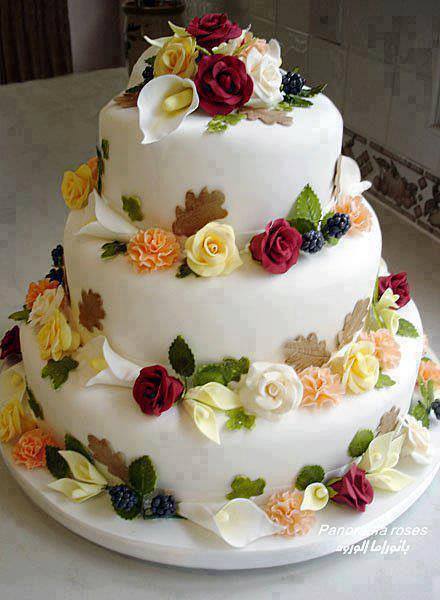 1000315_10152101345660299_1030768293_n