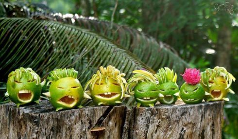 1002484_381581311964527_1673089405_n