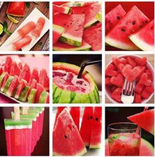 1016276_498746376862752_379730826_n