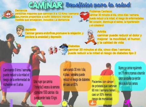 1235536_431006253676155_696757286_n