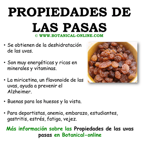 1374098_522551444503868_641784735_n