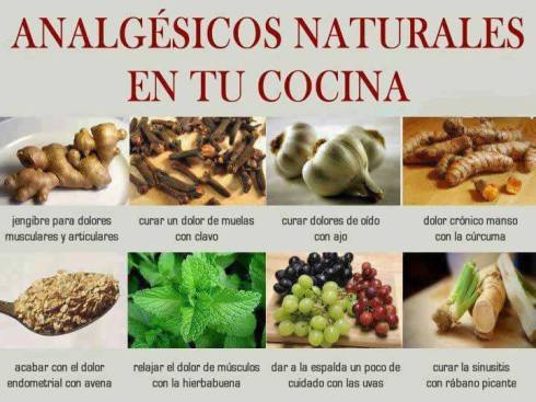 1395853_446413405468773_850035538_n