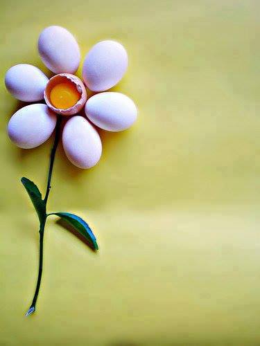 312432_10152099305180299_1298496451_n