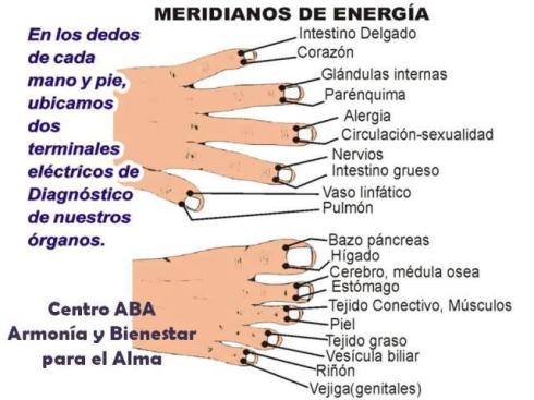 484726_350498581726923_2003444078_n