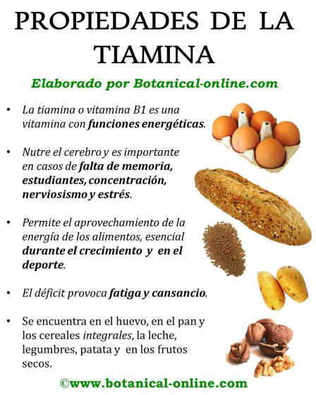 Propiedades_tiamina