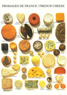 276ae17e559499a8bdff356568299121