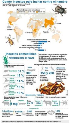 98fa4e8d266f49020e9c8812a6f1dae3