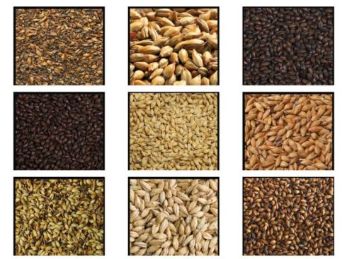 Tipos de maltas enteras