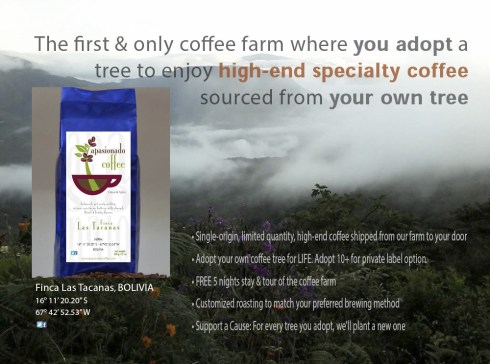 slider ERNESTO apasionado.pdf