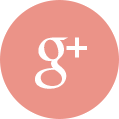 recetas cocina google
