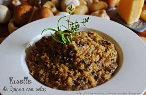 Risotto de setas
