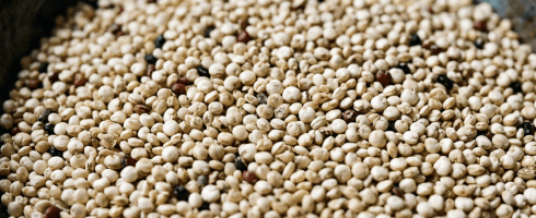 Bowl containing mixed white, red, and black quinoa grains.