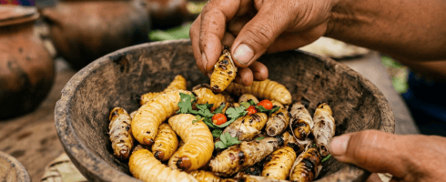 Grilled edible larvae in a wooden bowl with herbs and chili peppers