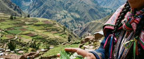 Woman in traditional Andean dress holding a handful of coca leaves in front of mountainous landscape